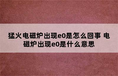 猛火电磁炉出现e0是怎么回事 电磁炉出现e0是什么意思